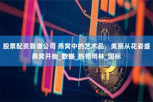 股票配资靠谱公司 燕窝中的艺术品，美丽从花姿盛燕窝开始_数据_热带雨林_国标